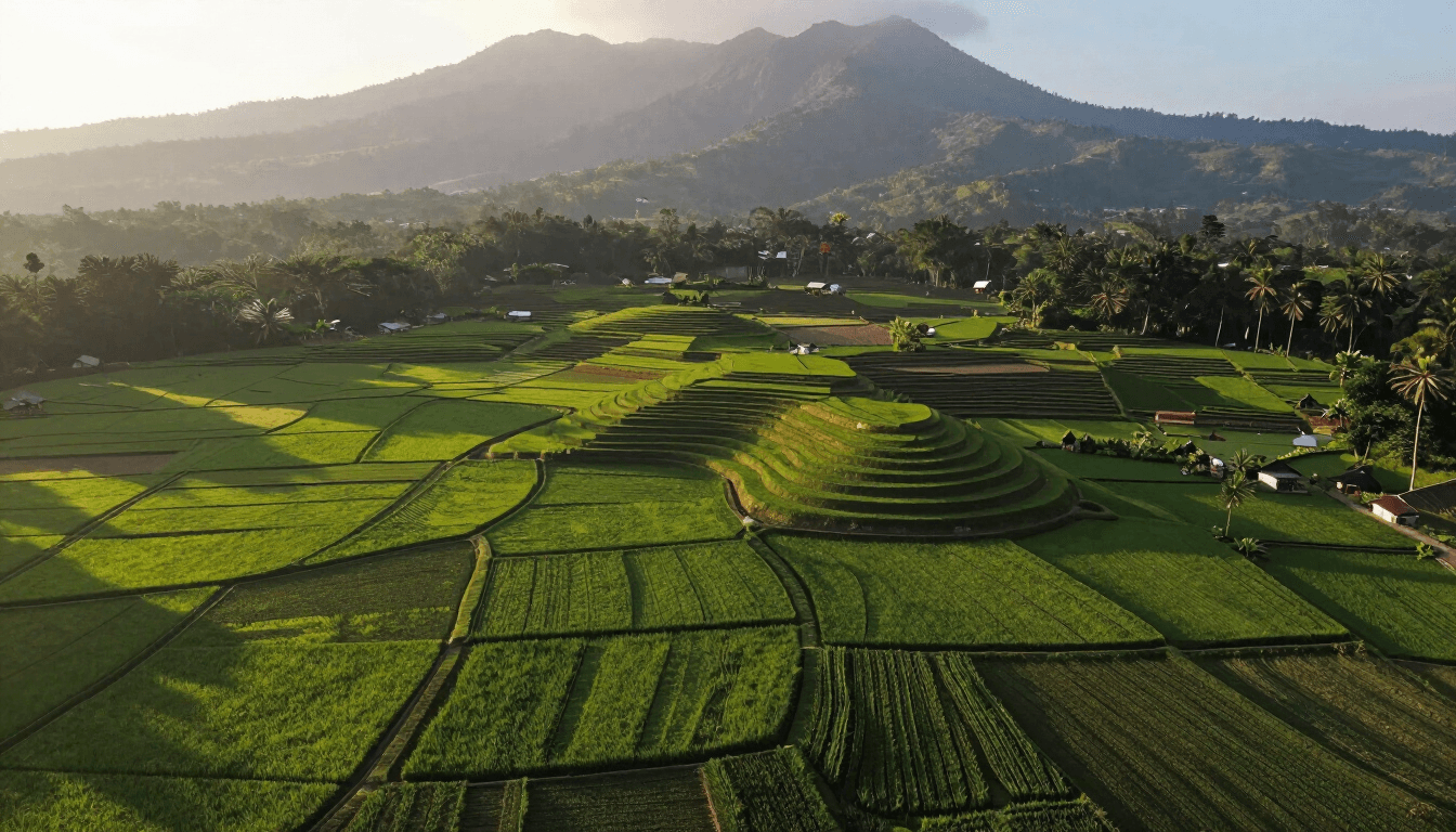 Sweet potato farm terraces in West Java, Indonesia
