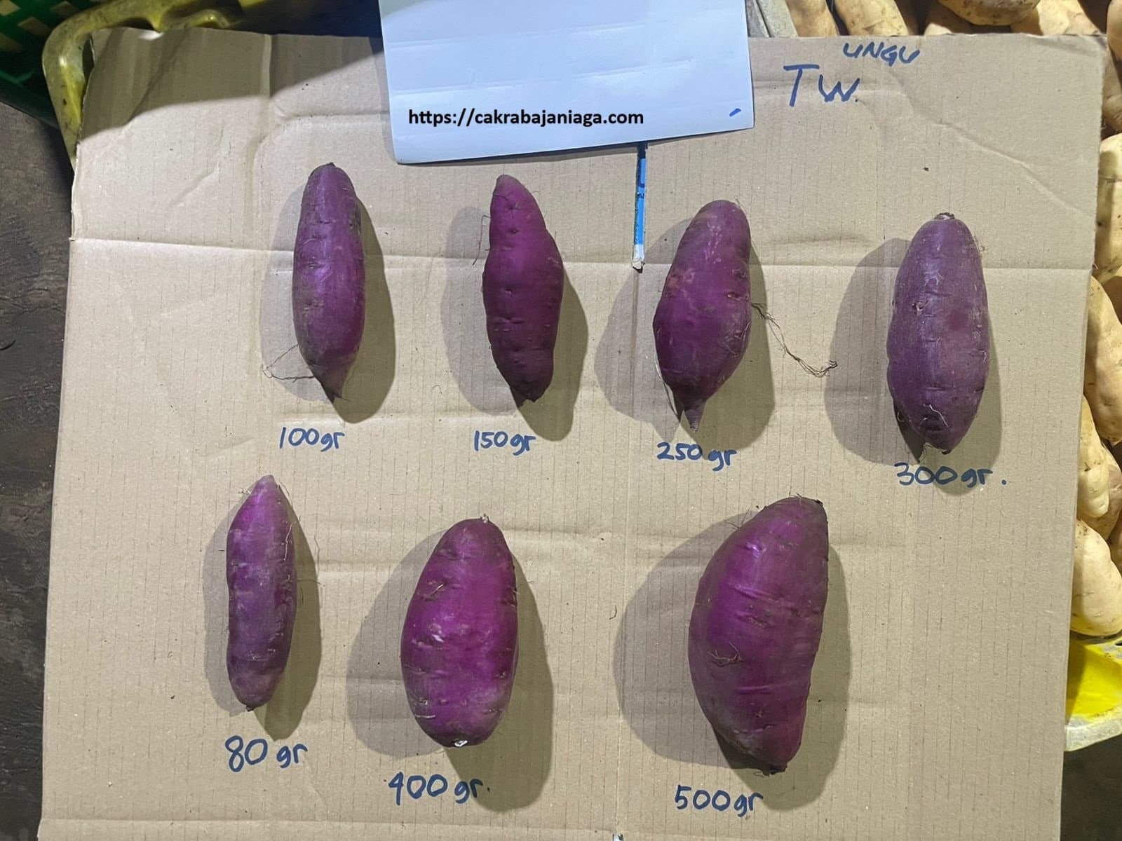 Purple Sweet Potatoes in various sizes: 80g to 500g