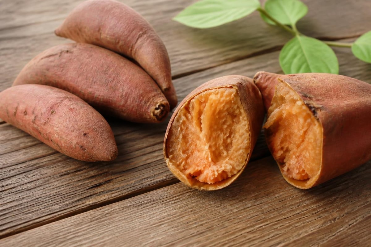 Chestnut sweet potato characteristics