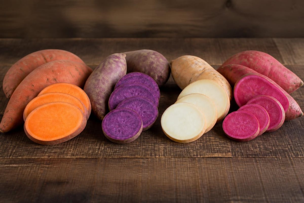 Sweet potato color categories